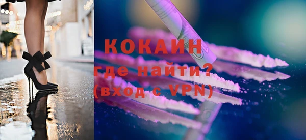 стафф Елизово