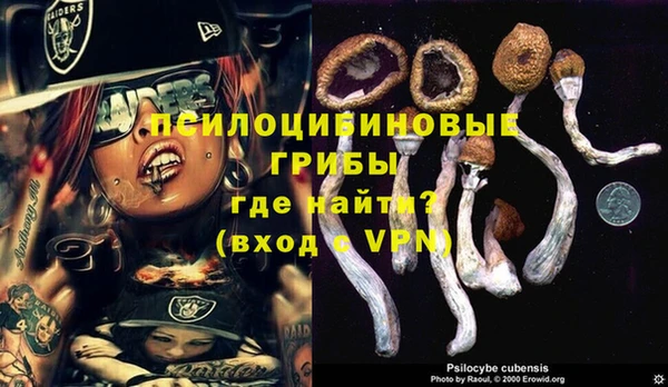 спайс Елабуга