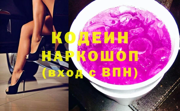 стафф Елизово