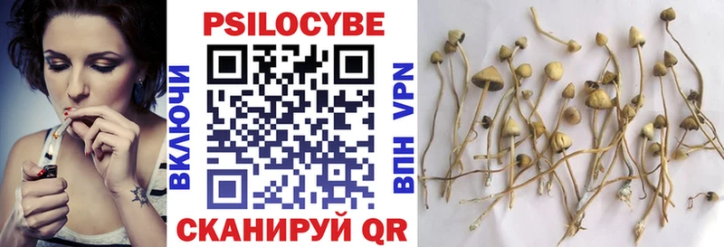 как найти   Сердобск  Псилоцибиновые грибы MAGIC MUSHROOMS 