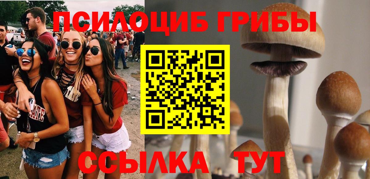 Псилоцибиновые грибы Magic Shrooms Сердобск